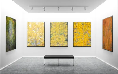 Art Show Display