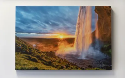 Canvas Prints
